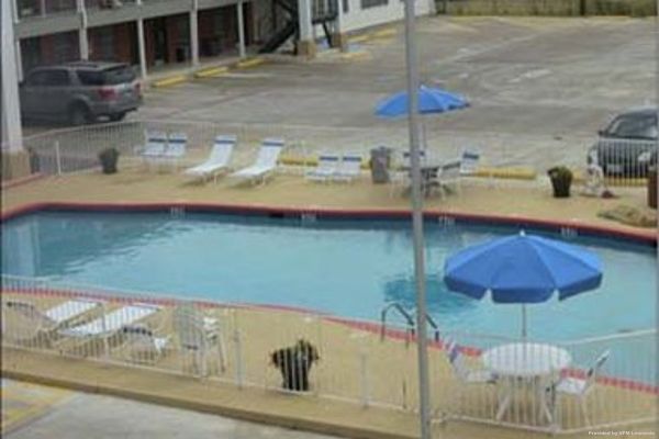 KNIGHTS INN - MINERAL WELLS (Mineral Wells)